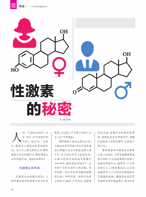 性激素的秘密