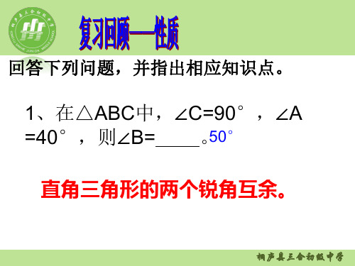 中考复习——直角三角形