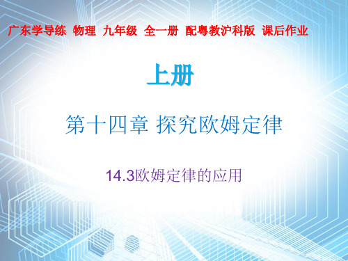 14.3 欧姆定律的应用—2020秋沪粤版九年级物理上册课件(共29张PPT)