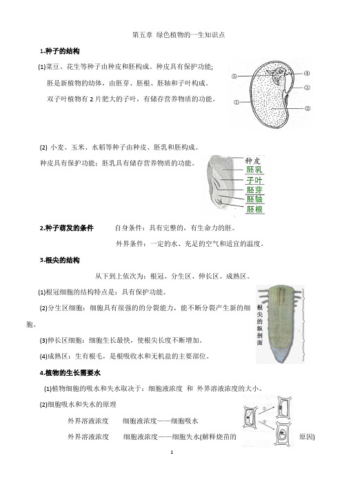 苏教版七年级生物上册第五章 绿色植物的一生知识点总结