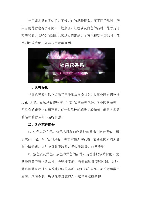 牡丹花香吗(附不同颜色品种花香的介绍)