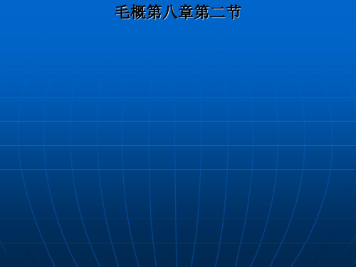 毛概第八章第二节