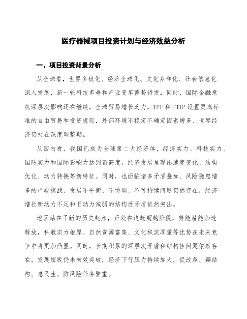 医疗器械项目投资计划与经济效益分析 (2)