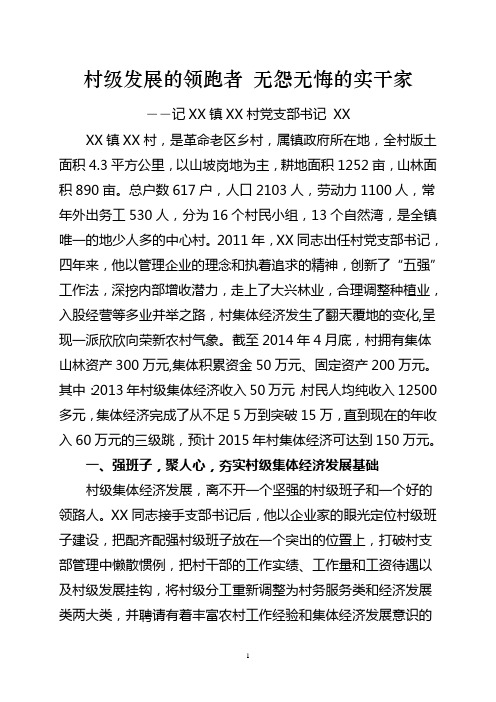 发展村集体经济支部书记典型材料