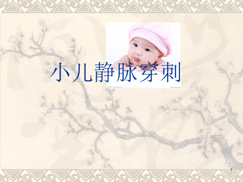 静脉输液专科护士培训讲义:小儿静脉穿刺ppt课件