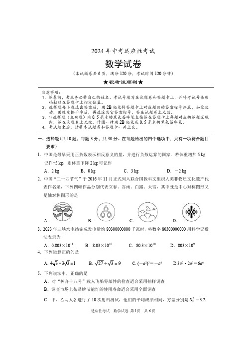 2024年湖北省襄阳市枣阳市中考适应性考试数学试题