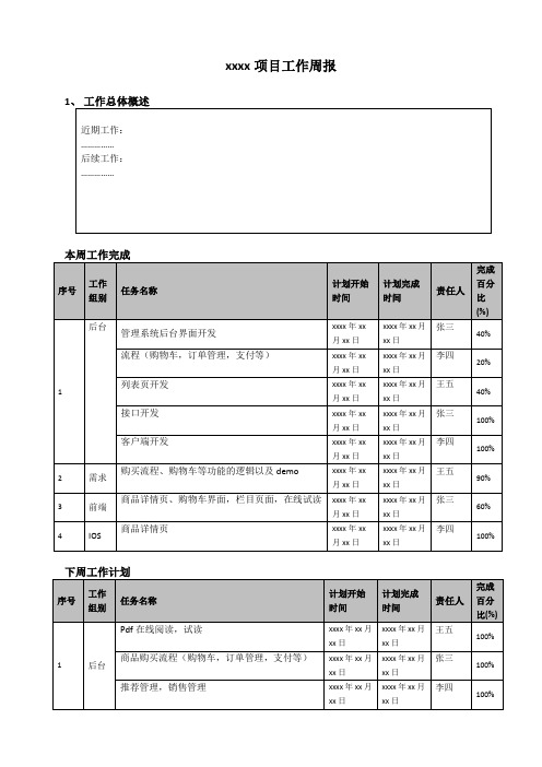 xx项目工作周报模板