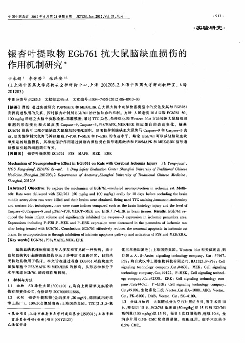 银杏叶提取物EGb761抗大鼠脑缺血损伤的作用机制研究