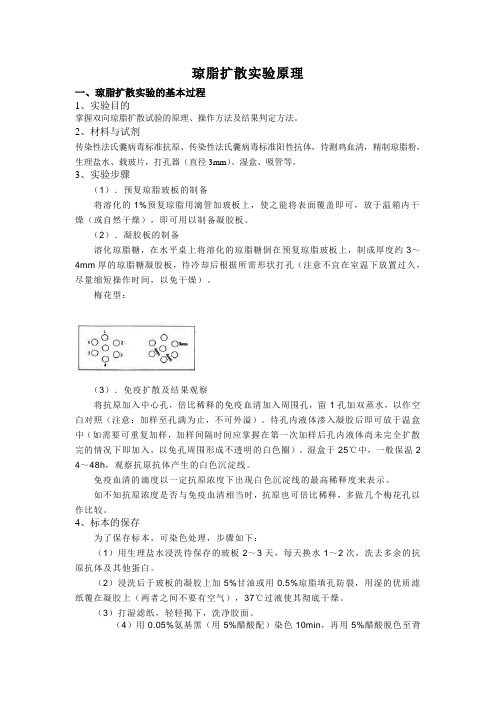 琼脂扩散实验原理