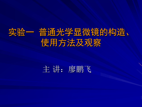 普通光学显微镜