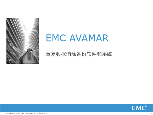 EMC Avamar备份系统介绍