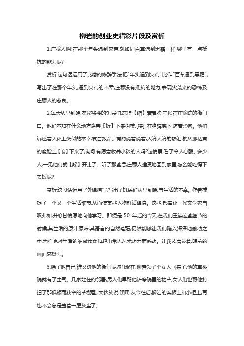 柳岩的创业史精彩片段及赏析