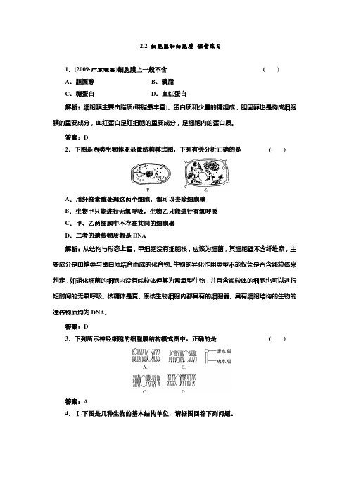 2.2细胞膜和细胞壁课堂练习浙科版必修一