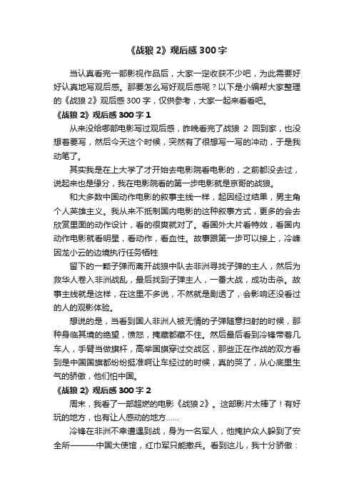 《战狼2》观后感300字