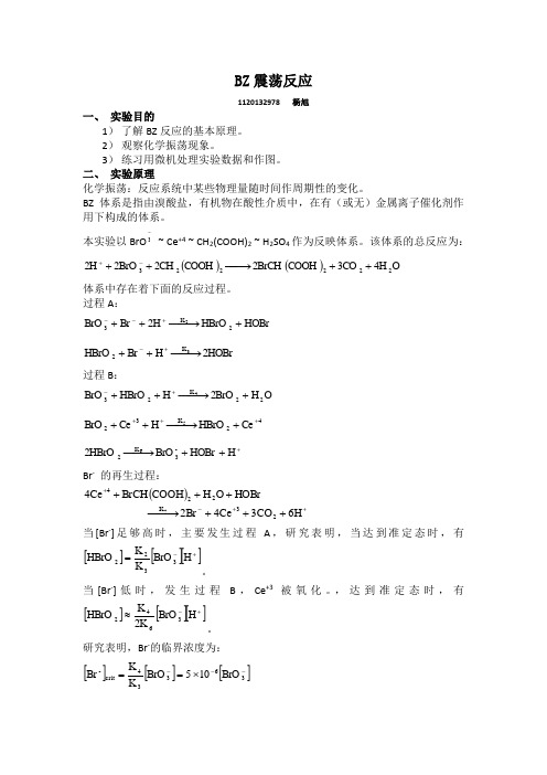 BZ震荡实验报告