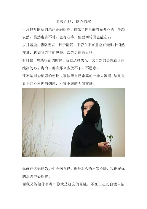 随缘而栖,我心依然