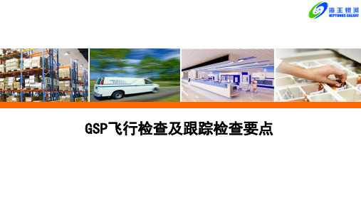 GSP飞检及跟踪检查要点