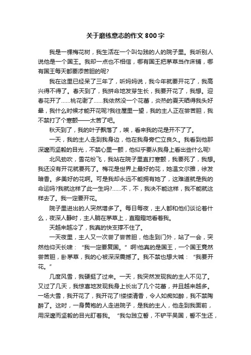 关于磨练意志的作文800字