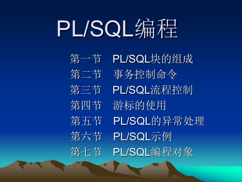 PL-SQL编程