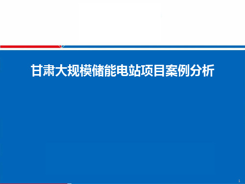 甘肃大规模储能电站项目案例分析