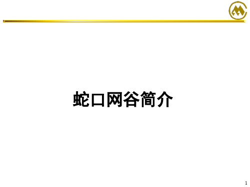 蛇口网谷规划与发展介绍课件