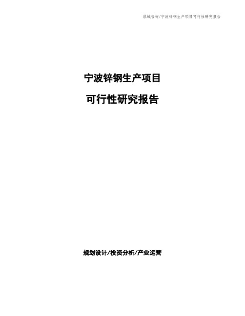 宁波锌钢生产项目可行性研究报告