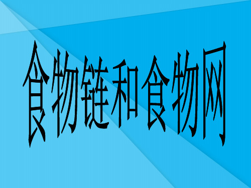 食物链和食物网PPT课件 济南版优秀课件