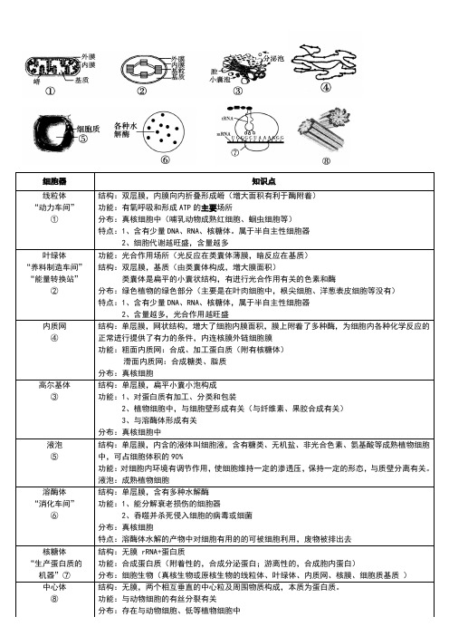 高中生物细胞器知识点及图示整理(王进传原创)