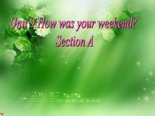 Unit 9 How was your weekend