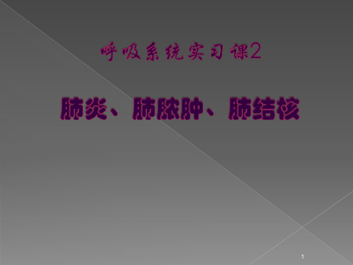 医学影像学：呼吸系统实习课 肺炎、肺脓肿、肺结核