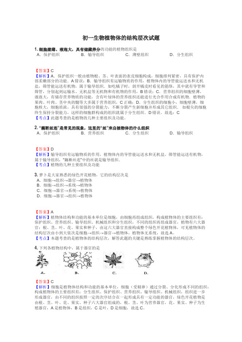 初一生物植物体的结构层次试题
