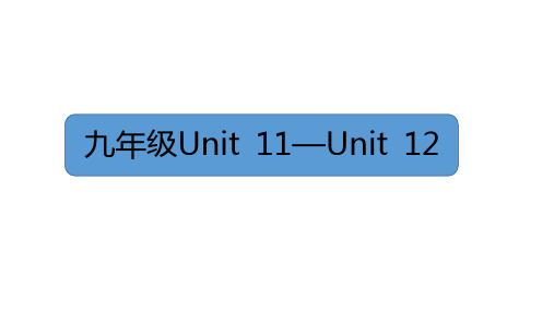 2022-2023学年人教版九年级英语Unit 11—Unit 12期末复习课件 