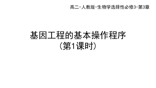 人教版高中生物选择性必修第3册 第3章 基因工程 第2节 基因工程的基本操作程序(一)