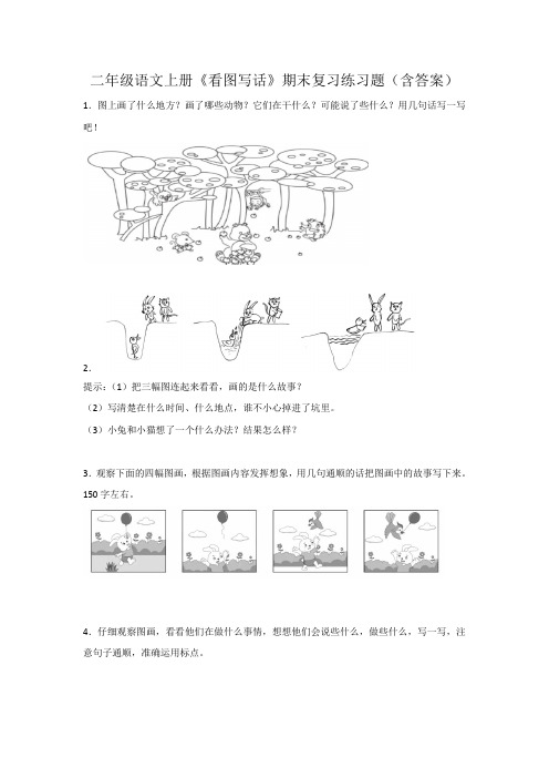 二年级语文上册《看图写话》期末复习练习题(含答案)