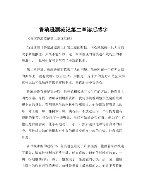 鲁滨逊漂流记第二章读后感字