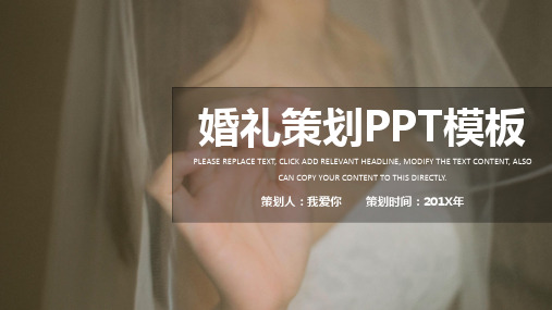 婚礼策划PPT模板 (34)