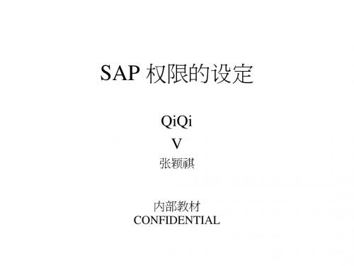 sap 权限的设定