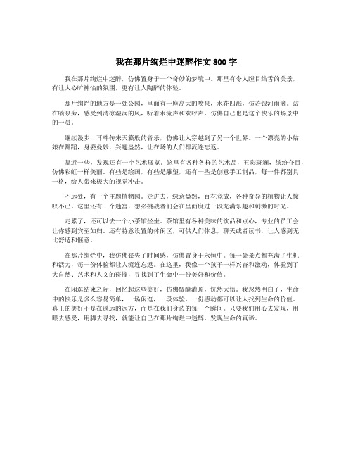 我在那片绚烂中迷醉作文800字