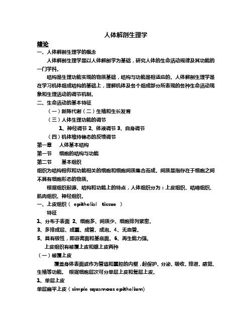 人体解剖生理学复习资料解读