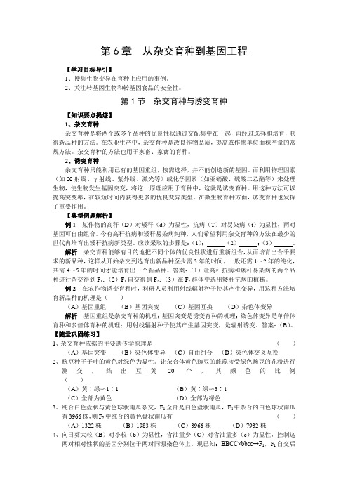 人教版试题试卷高中生物必修二第6章从杂交育种到基因工程章末复习单元测试及答案