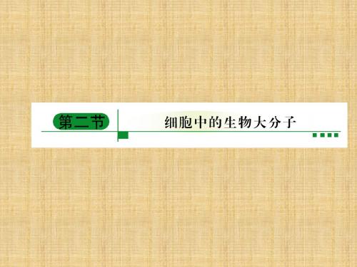 【苏教版必修1】11-12高中生物《绿色通道》课件2-2-1