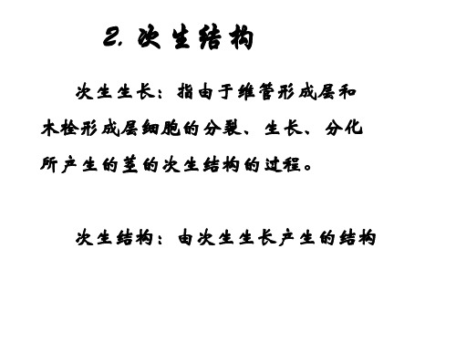 双子叶植物茎次生构造、裸子、单子叶茎形态解剖-高中生物奥赛辅导