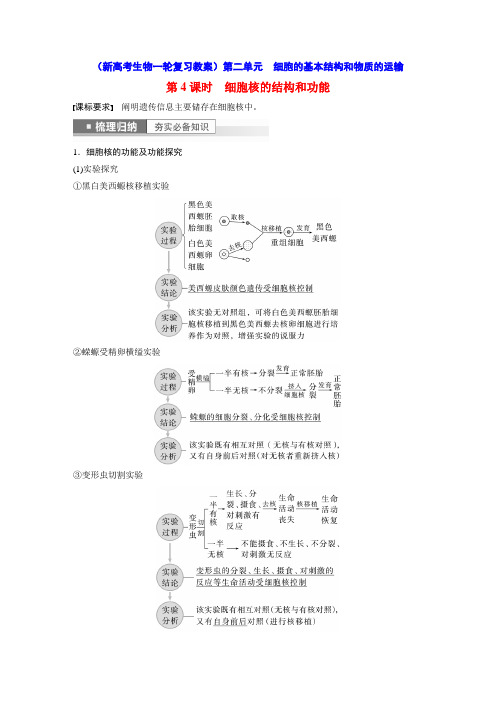 细胞核的结构和功能(新高考生物一轮复习教案)