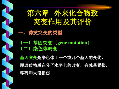 第六章--致突变作用及其评价