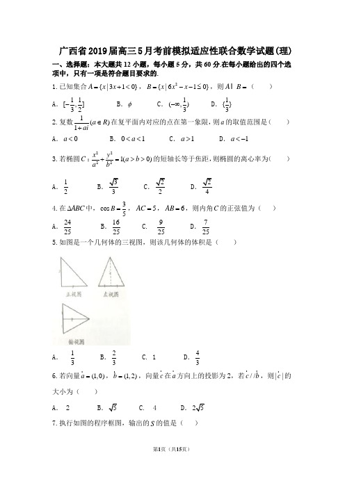 广西省2019届高三5月考前模拟适应性联合数学试题(理)