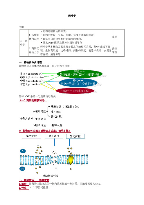 药动学