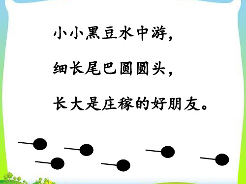 1.小蝌蚪找妈妈(修改版)