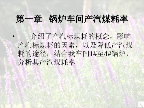 锅炉效率及有关计算