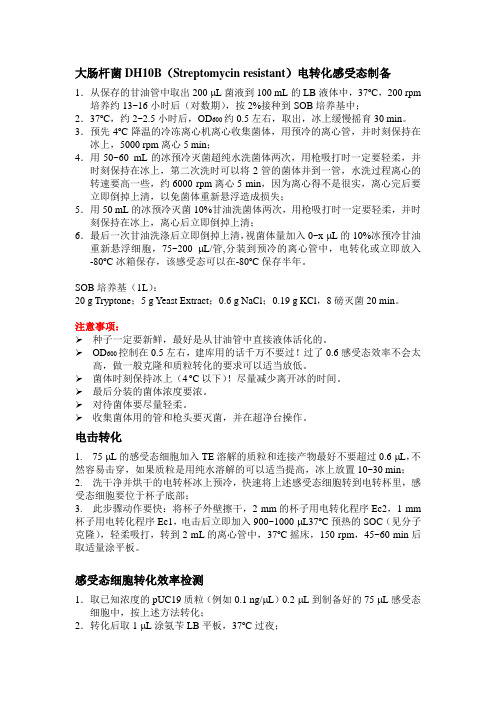 DH10B菌株感受态制备,电击转化及转化效率检测