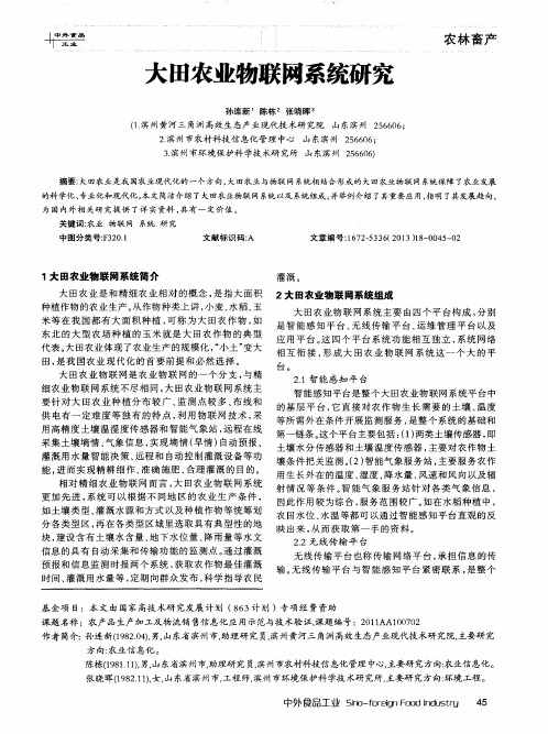 大田农业物联网系统研究